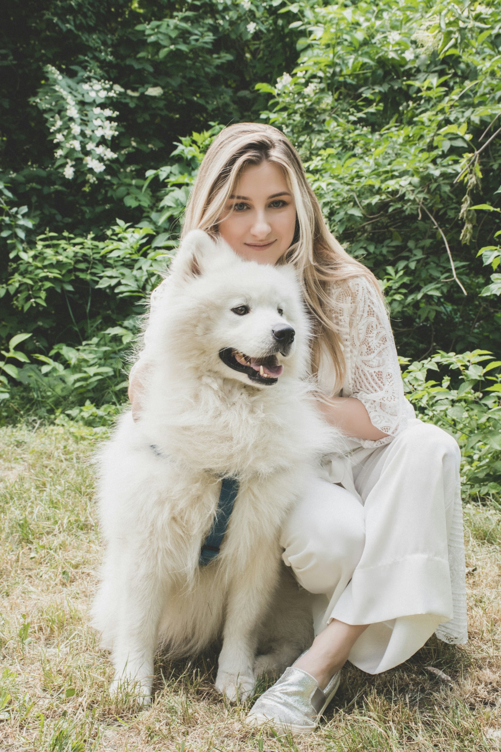 Notes on Working With Dogs